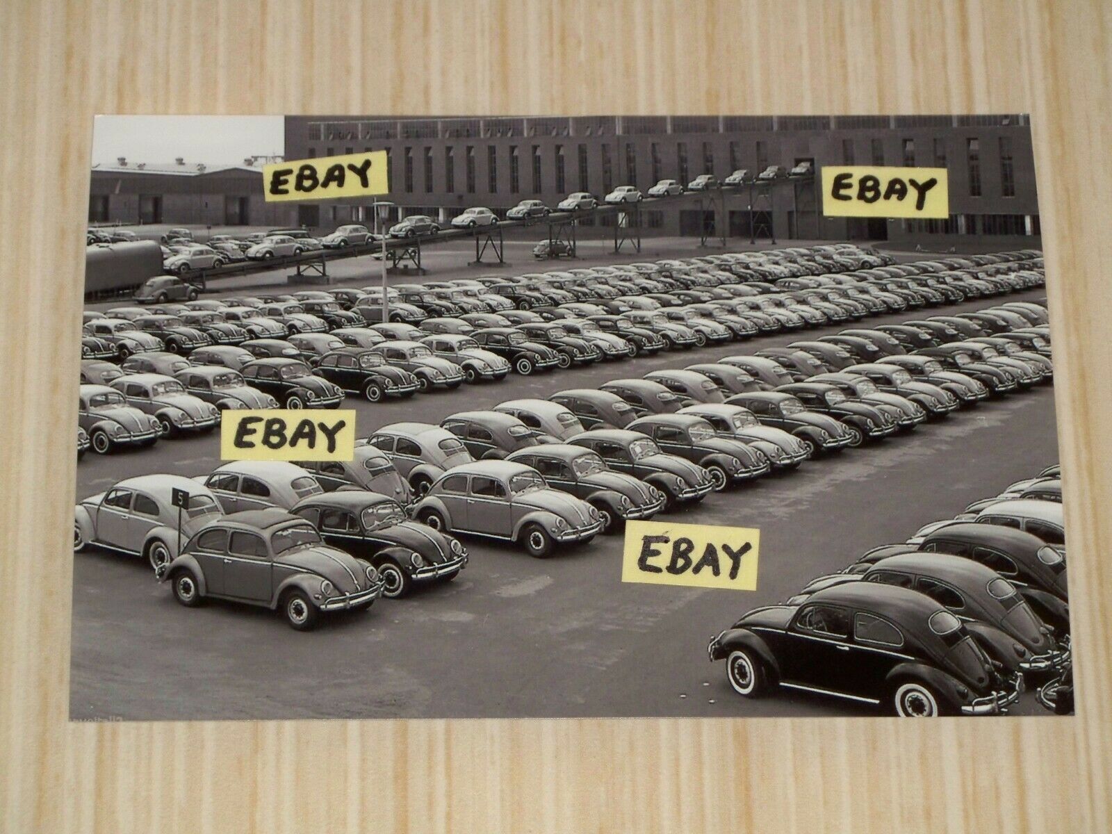 Vintage 4x6 Photo 1953 Volkswagen Factory Hundreds Beetles In Lot & Ramp Vw Bug