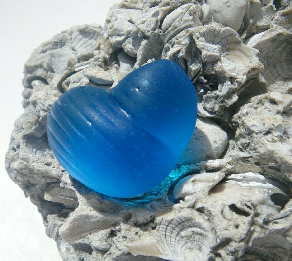 Sea Glass, Teal Blue Shell